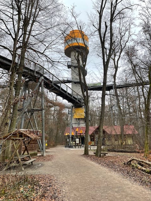 Baumkronenpfad im Nationalpark Hainich
