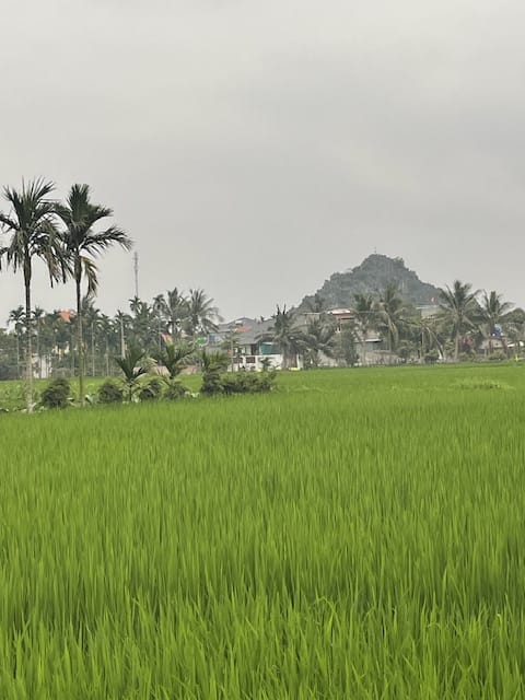 Vietnam Tag 4