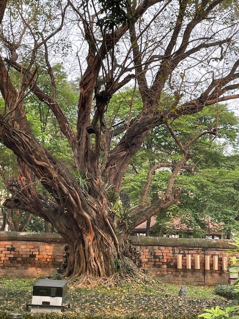 Vietnam Tag 3